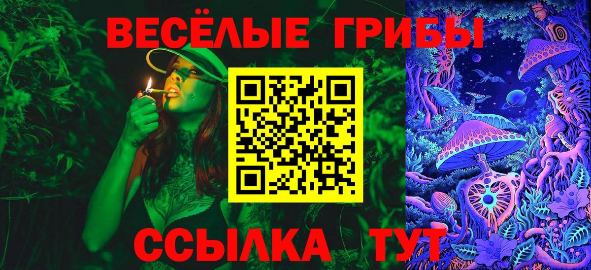 Псилоцибиновые грибы Psilocybine cubensis  Вход с VPN  Грязи 