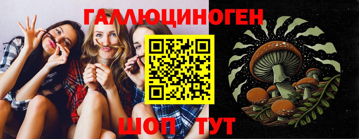 Псилоцибиновые грибы Psilocybe Грязи